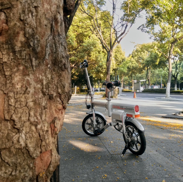 电动自行车